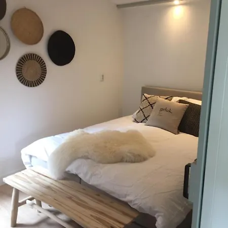 Sunny Holiday Holiday home